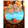 Turquoise pumpkin patch wooden sign